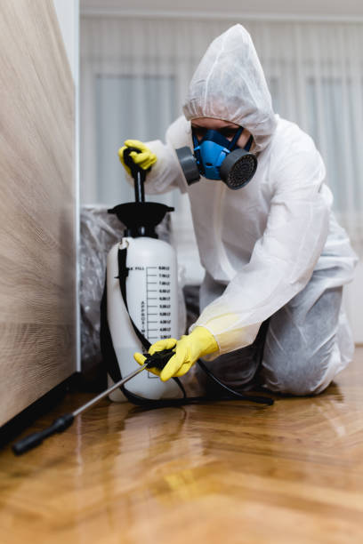 Best Residential Pest Control  in Asheboro, NC